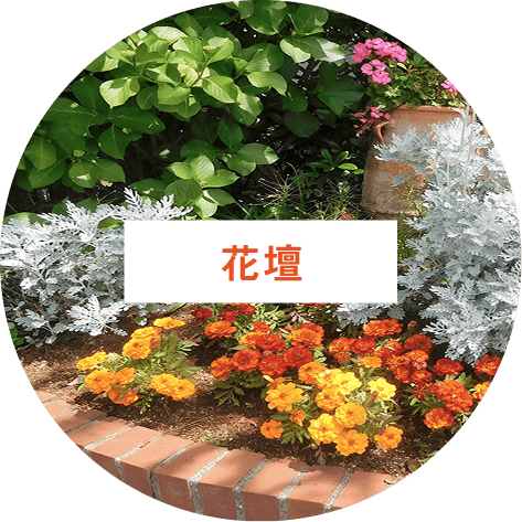 花壇